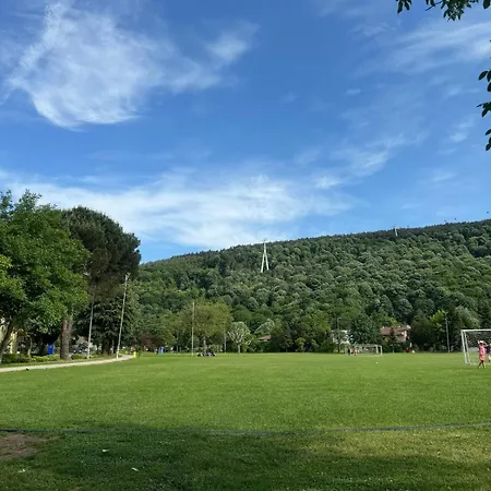 Cadde Sicak Havuzlu Genis Bahceli Willa *